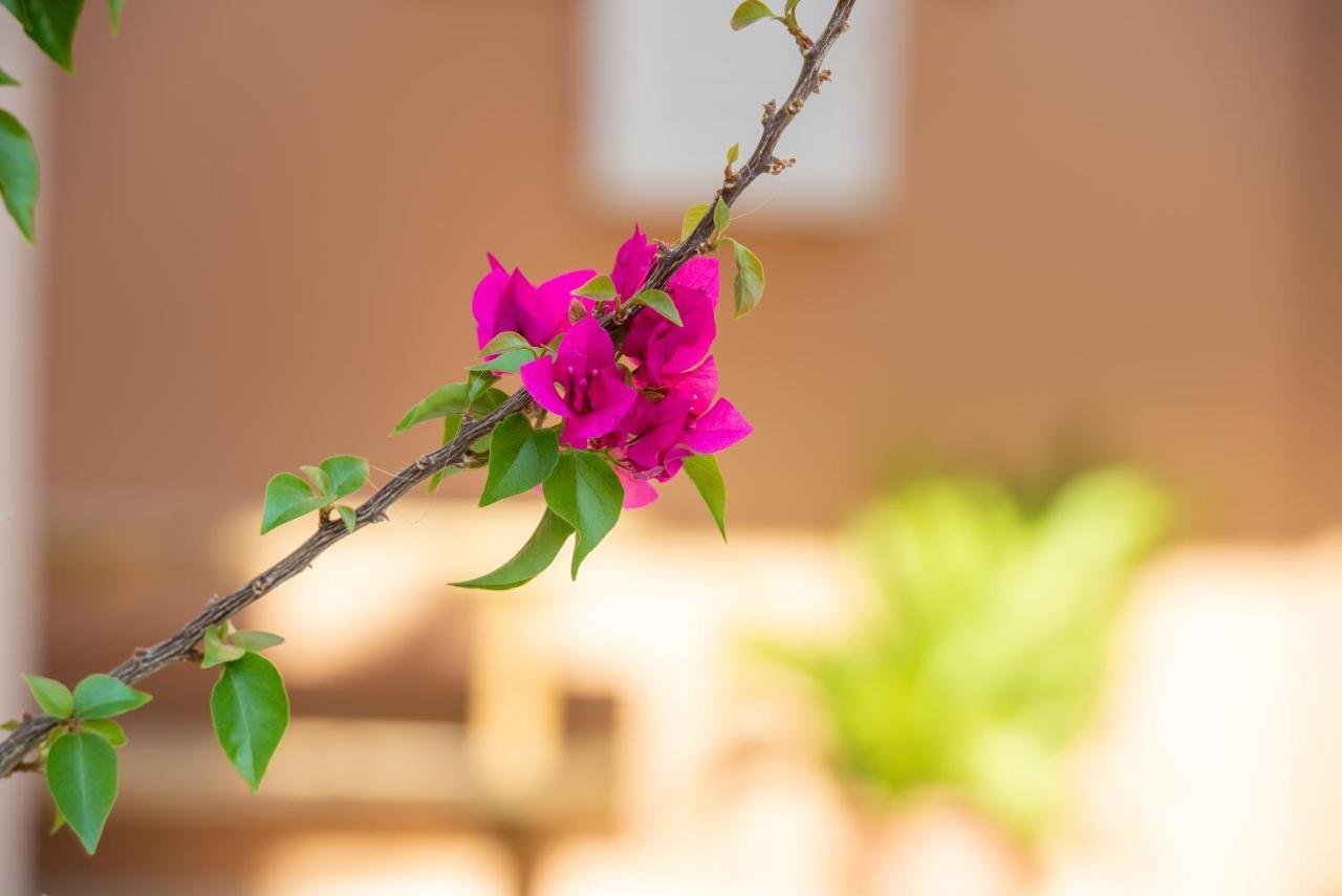 Villa Maria 2 托罗尼 外观 照片